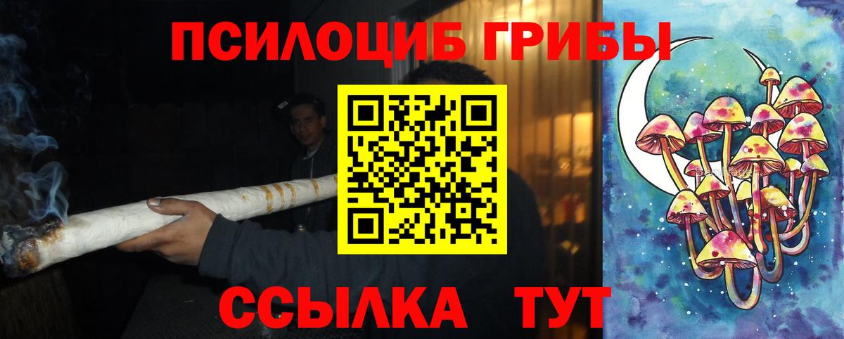 Псилоцибиновые грибы Psilocybe Кызыл